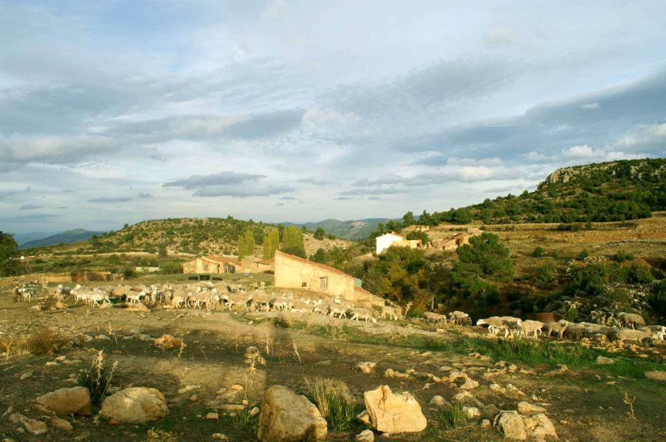 Prado Redondo - La toba de Lucas